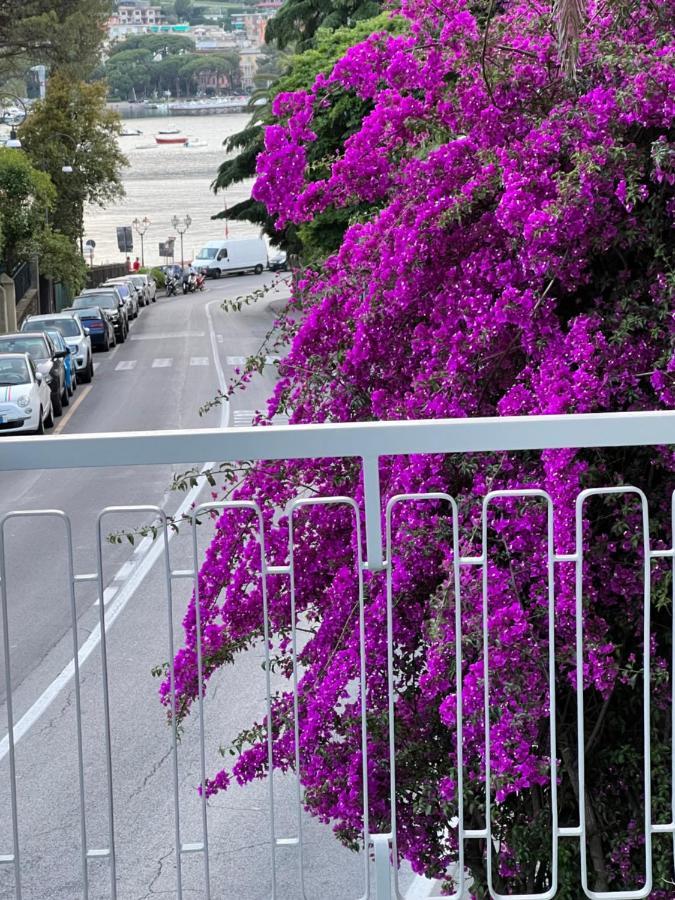 Welcome Riviera -Torre D'Avorio Appartamento 126 Mq Piu'Terrazzo25 Mq - Totalmente Rinnovato- 250 M Dal Centro - Parcheggio A Pagamento 15 Euro Al Giorno Da Prenotare In Anticipo Salvo Dispo -Parking At 15 Euro Per Day To Be Booked In Advance If Avai Rapallo Kültér fotó